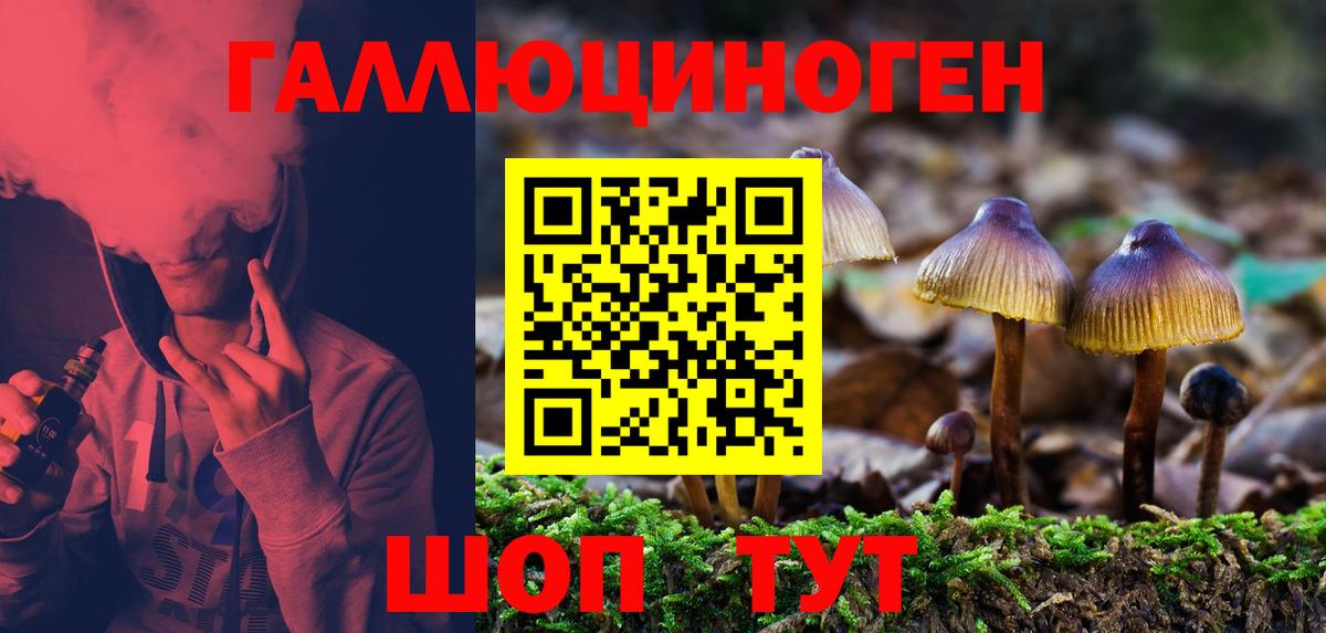 Псилоцибиновые грибы MAGIC MUSHROOMS Коркино